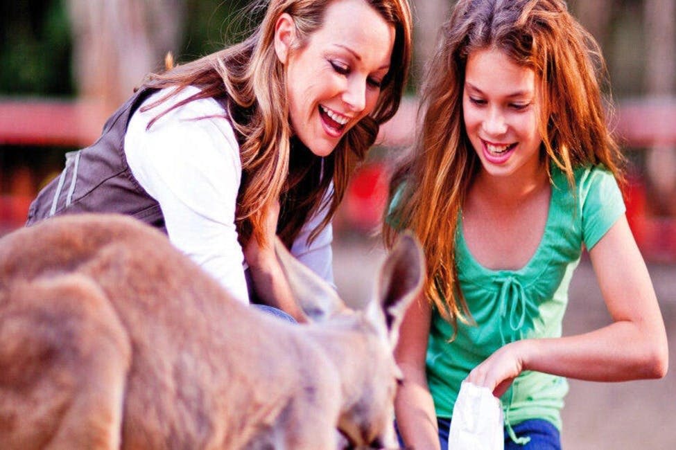 커럼빈 야생동물 보호구역 & 트리탑 챌린지