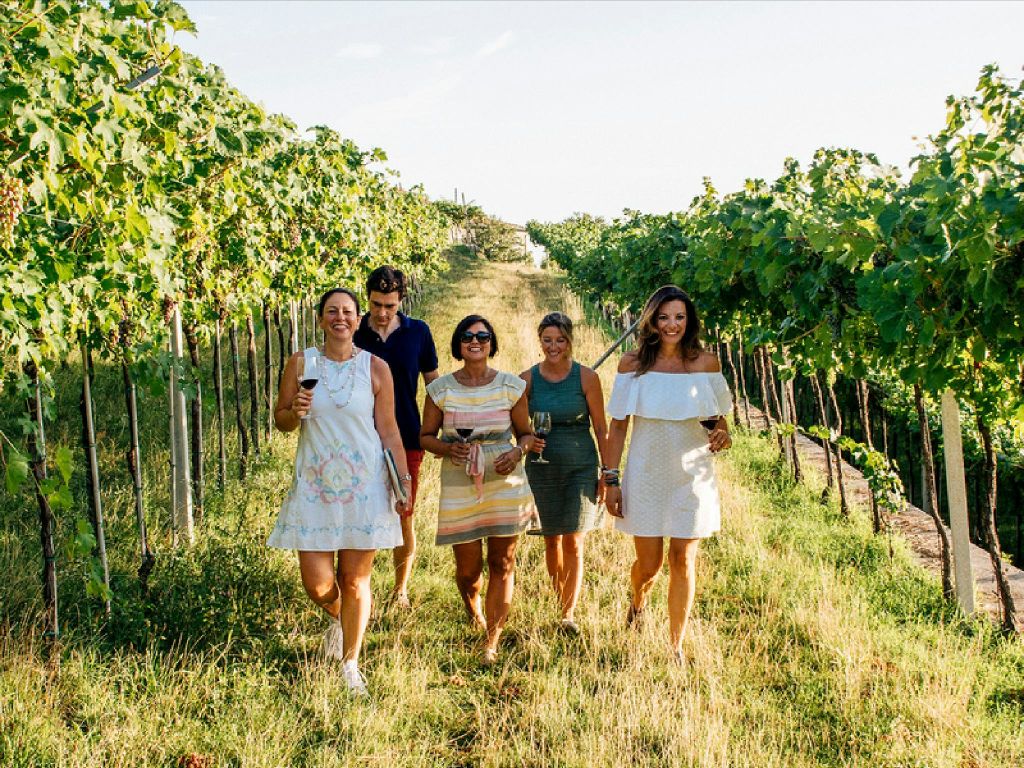다섯 명이 포도원을 거닐며 와인잔을 들고 웃으며 화창한 하루를 즐깁니다.