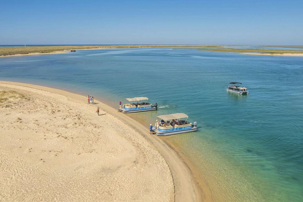 포모사마르 보트는 사람들이 해변을 탐험하고 맑은 하늘 아래 잔잔한 푸른 물과 함께 모래 해변을 따라 정박했습니다.