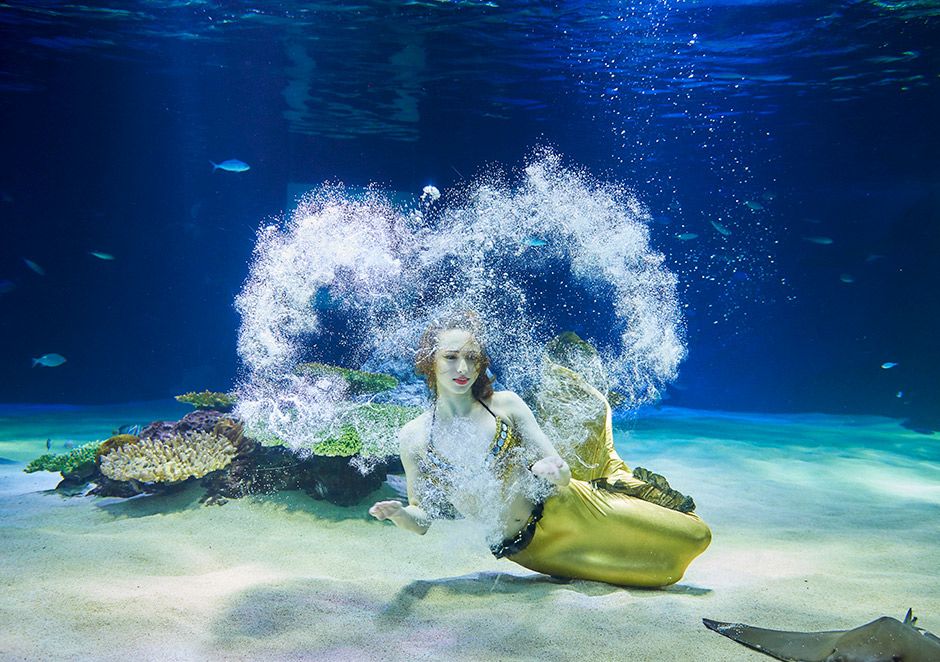 ソウル]63ビル展望台(スカイアート)＋水族館(アクアプラネット)割引