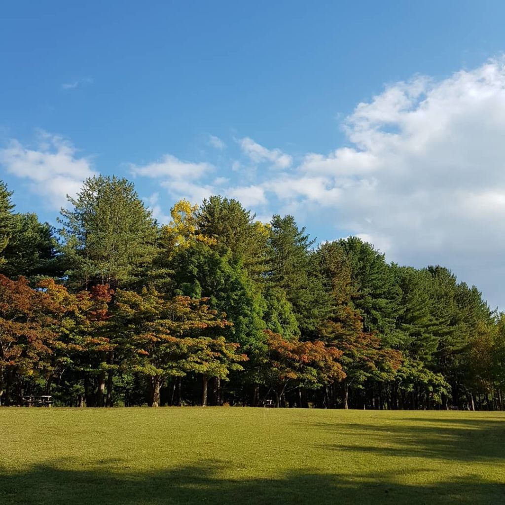 Nami Island Thumbnail 4