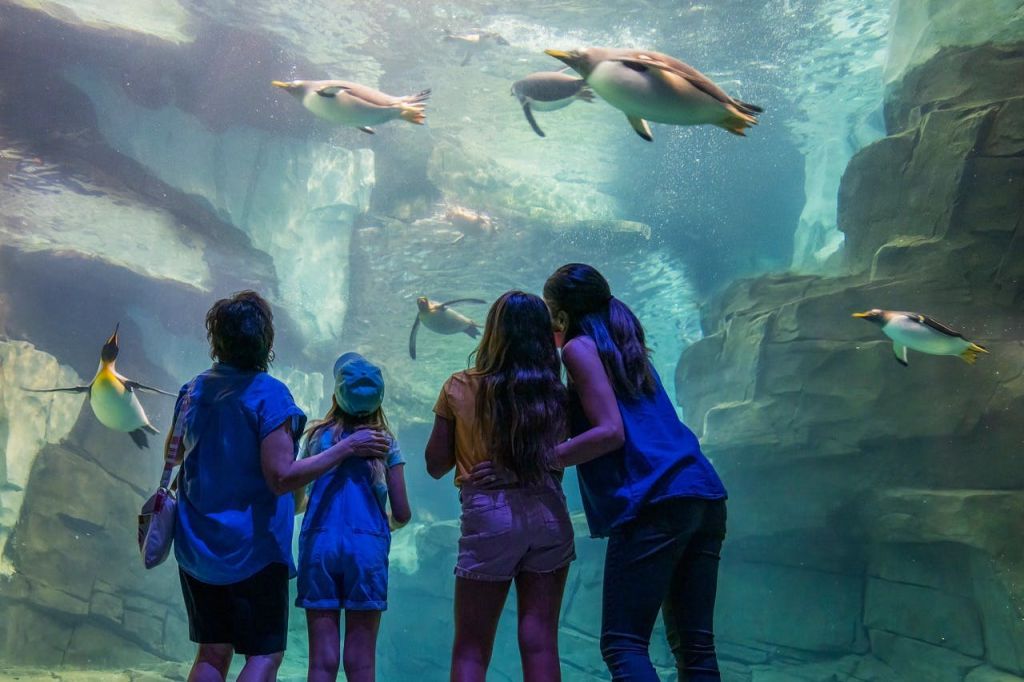 씨월드 올랜도: 우선 입장권