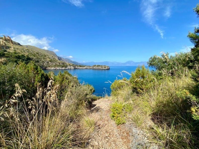 고요한 푸른 물과 먼 산, 그리고 지혜로운 구름이 흐르는 맑은 하늘이 펼쳐지는 해안 풍경으로 이어지는 높은 잔디밭을 가로지르는 좁은 흙길.