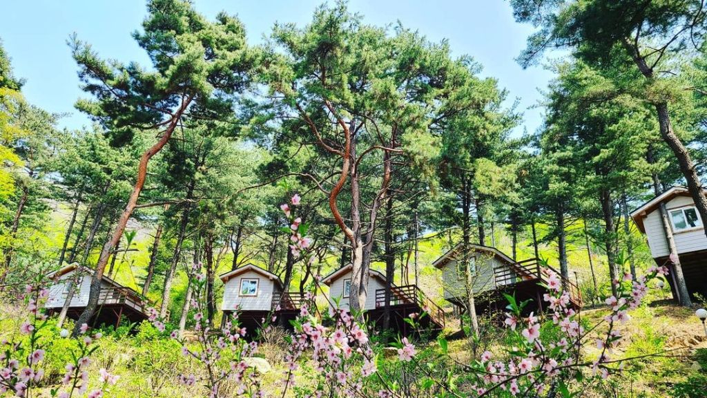 용문산 해와달