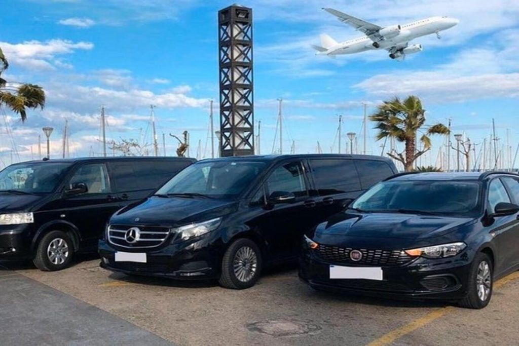 마이애미 최고의 소그룹 투어