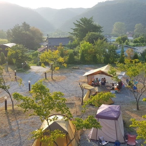 캠누리 오토 캠핑장
