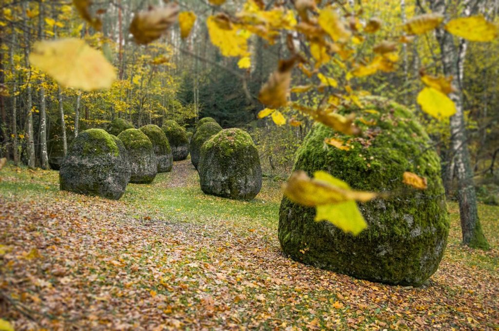 이끼로 덮인 커다란 바위들이 단풍이 드는 숲에 나뭇잎으로 덮인 길을 따라 흩어져 있습니다.