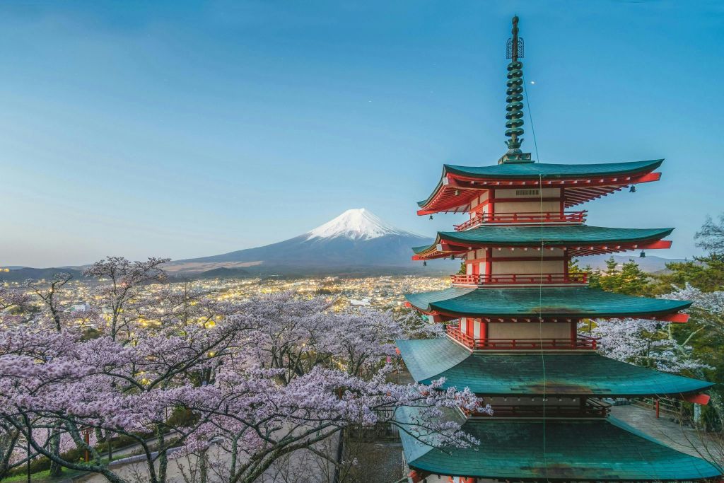 맑고 푸른 하늘 아래 후지산을 배경으로 벚꽃으로 둘러싸인 5층 탑입니다.