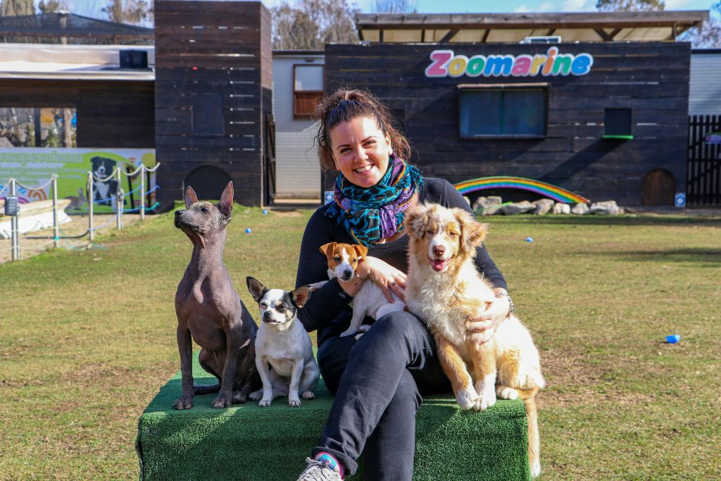 한 여성이 녹색 플랫폼에 앉아 "Zoomarine" 표지판이 있는 건물 앞에서 다른 품종의 개 4마리에 둘러싸여 미소를 짓고 있습니다.