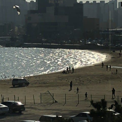엘 살론 해변