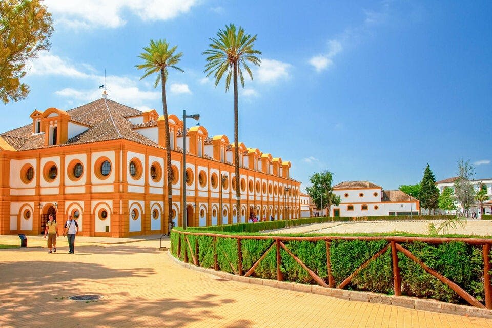 Como bailan los caballos andaluces