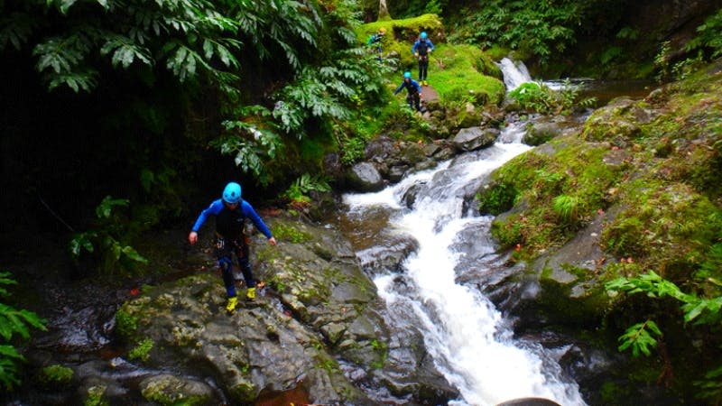 푸른 헬멧을 쓴 사람들이 흐르는 시냇물과 작은 폭포가 있는 울창하고 숲이 우거진 지역을 트레킹하고 있습니다.