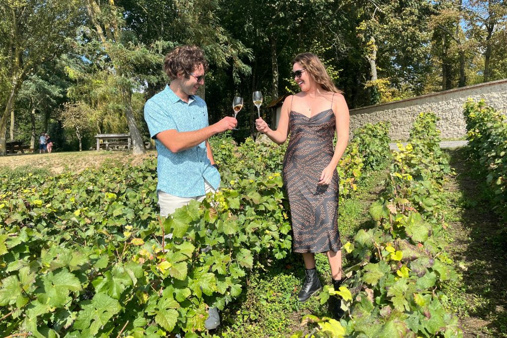 포도원에서 즐기는 와인 테이스팅