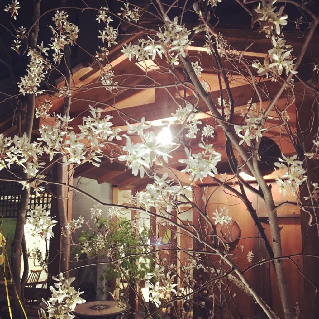 쿠키 케키