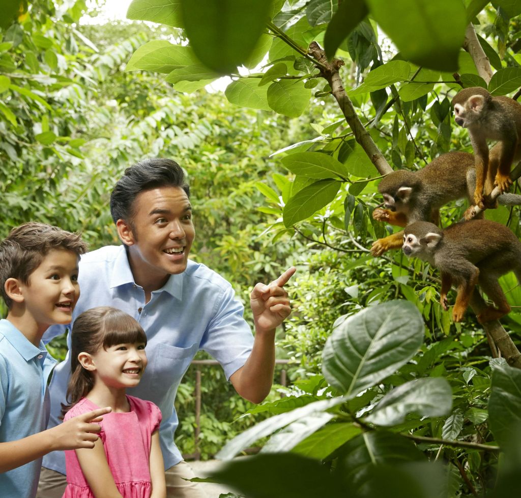 한 남자와 두 어린이가 울창하고 푸른 환경에서 나뭇가지에 자리잡은 작은 원숭이를 흥미진진하게 관찰합니다.