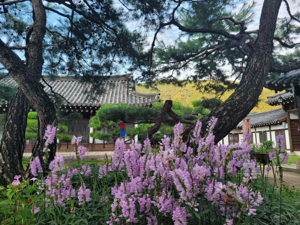 단양 한옥펜션단촌서원고택펜션 경쟁 제품과 비교 이미지