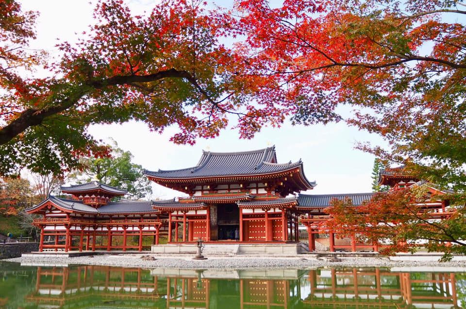 뵤도인