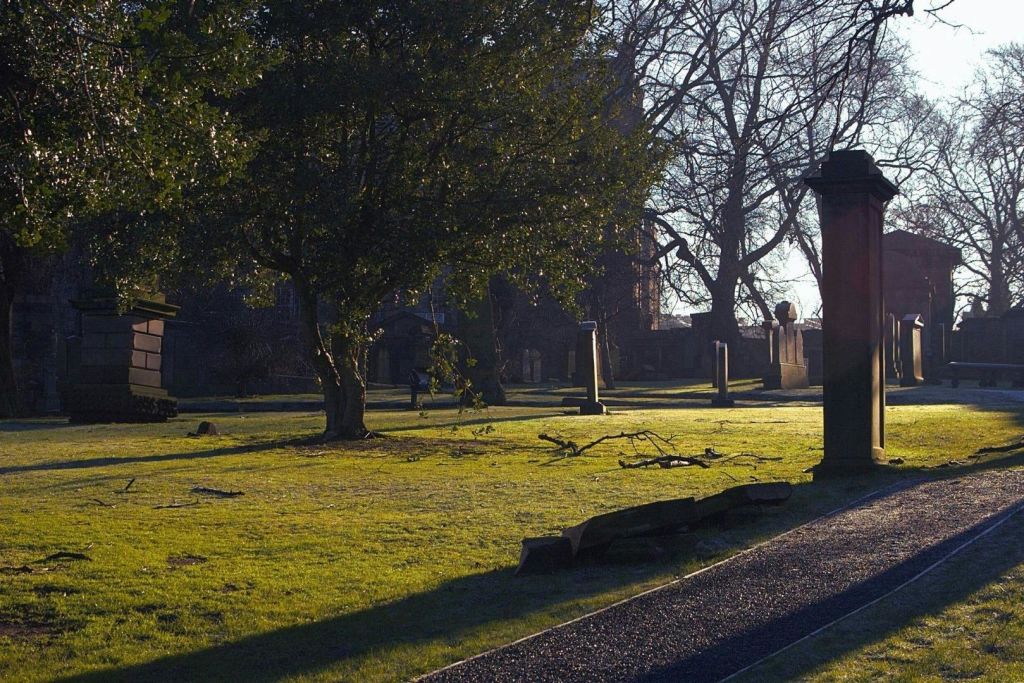나무와 비석, 통로가 있는 햇살 가득한 묘지에서는 차분하고 고요한 분위기를 느낄 수 있습니다.