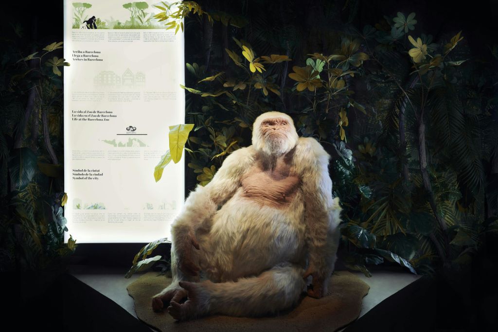 바르셀로나 왁스 뮤지엄