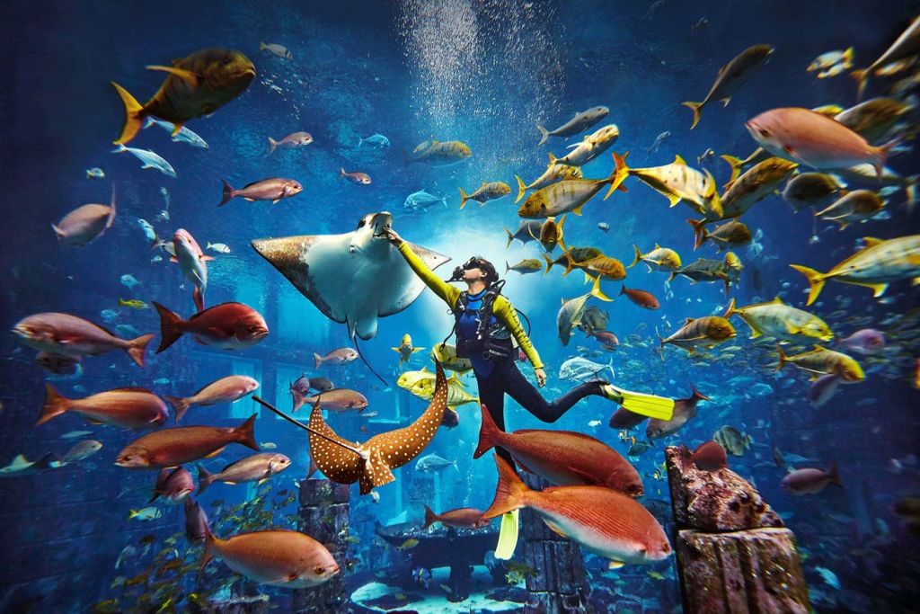 아틀란티스 더 팜 - 앰배서더 라군