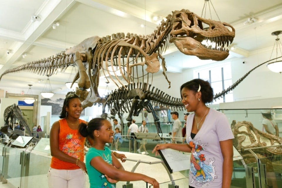 바위 꼭대기 전망대 + 명소 2곳