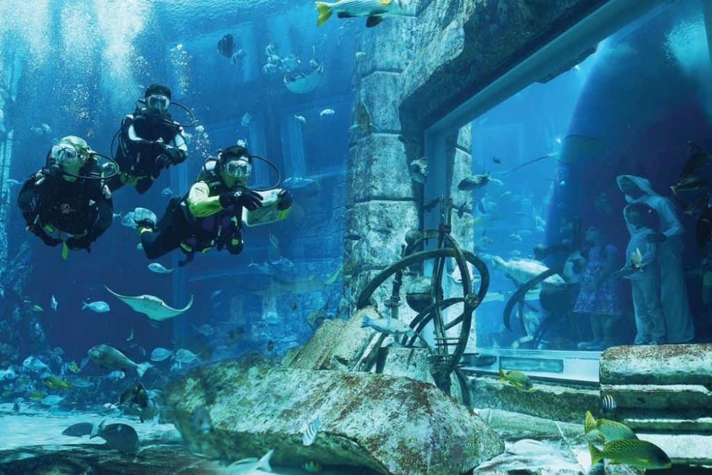 두바이 수족관 & 수중 동물원 - 최고의 체험