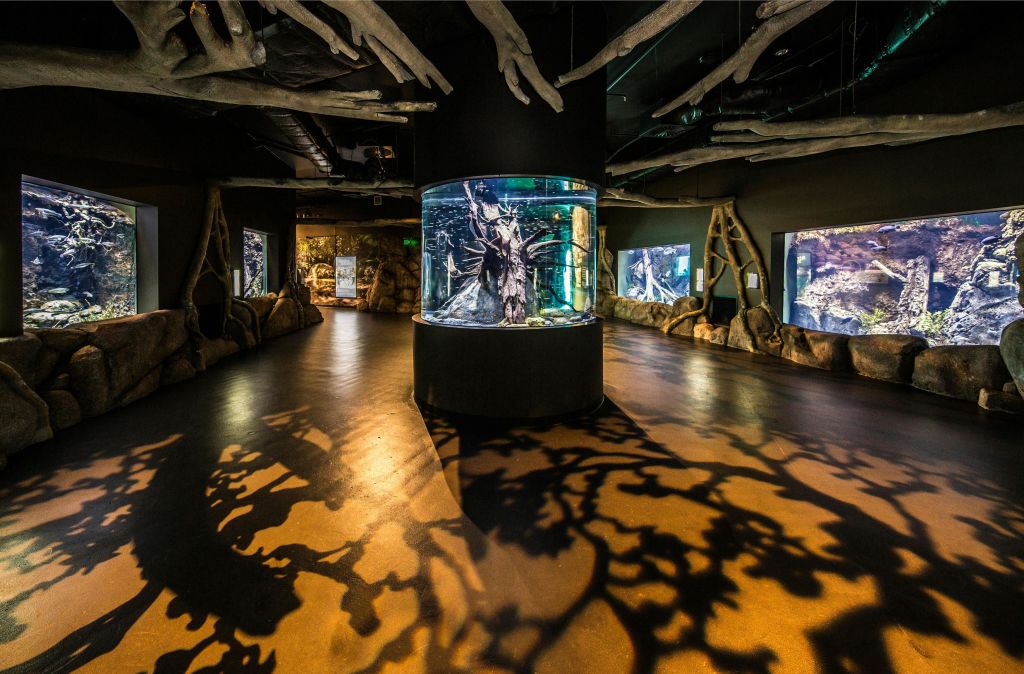여러 개의 수족관 디스플레이, 중앙 원통형 탱크, 바닥에 그림자 패턴을 시전하는 머리 위 구조물이 있는 객실입니다.