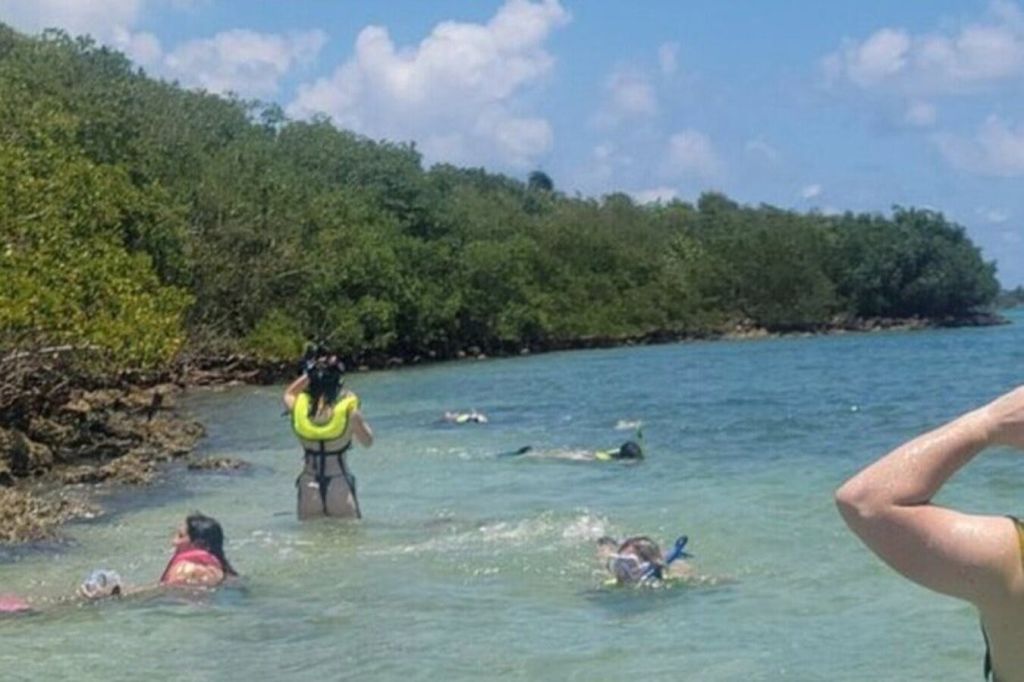 황량한 섬 근처에서 스노클링을 즐겨보세요. 활기 넘치는 해양 생물과 해안가의 손길이 닿지 않은 아름다움이 고요하게 어우러져 있습니다.