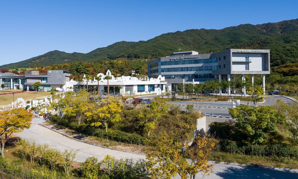 오헤브데이호텔