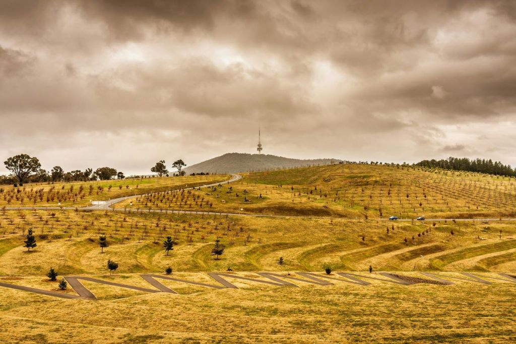 캔버라 하이라이트 투어