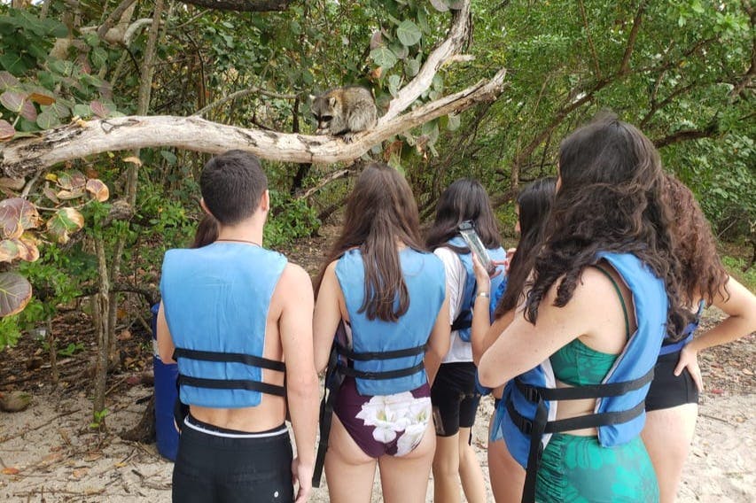 너구리와 함께 단체로 즐기기