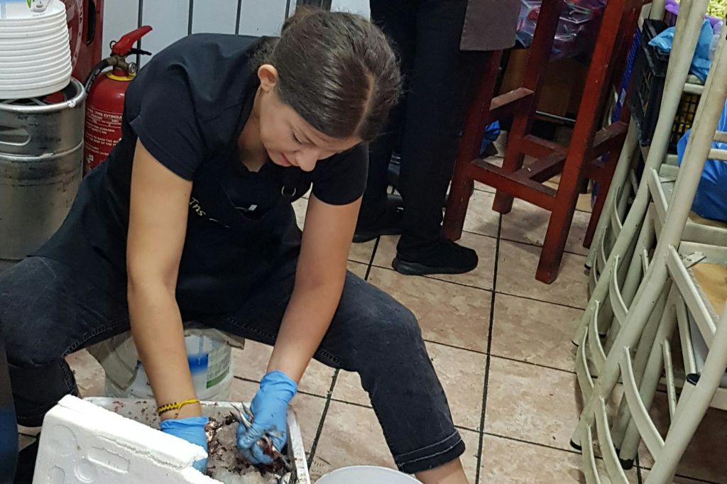 현지 타베르나에서 생선 요리하기