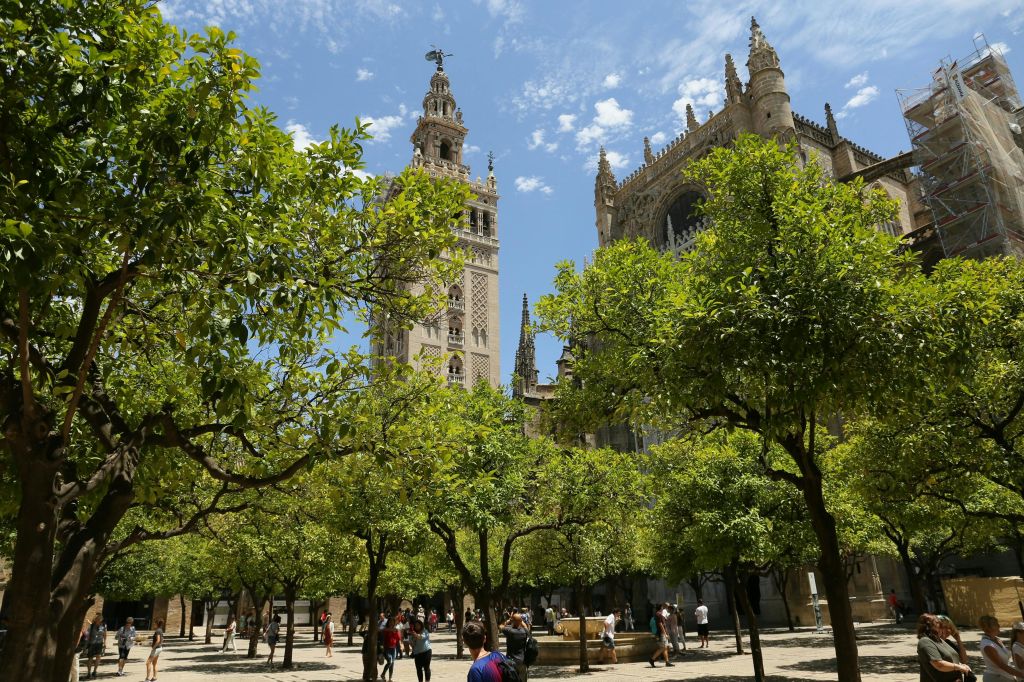 대성당의 오렌지 정원