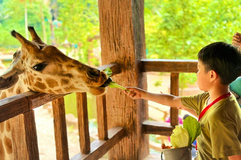 탐분이포의 잃어버린 세계
