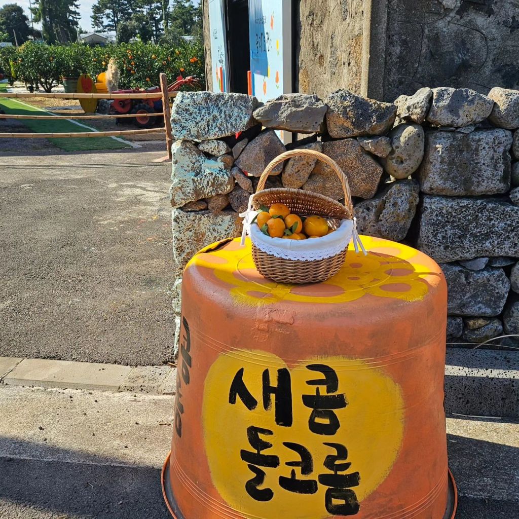 새콤 돌코롬 감귤 농장