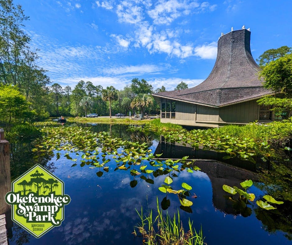 푸른 하늘 아래 백합 패드로 덮인 연못 옆에 독특한 지붕이 있는 건물입니다. 왼쪽 하단에 녹색 "Okefenokee Swamp Park" 표지판이 있습니다.
