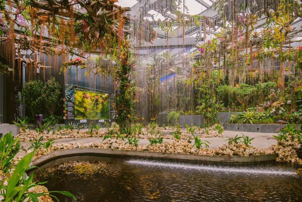 매달린 식물, 물놀이 시설, 울창한 녹지가 있는 실내 열대우림 전시관입니다. 구조화된 지붕이 부분적으로 보입니다.