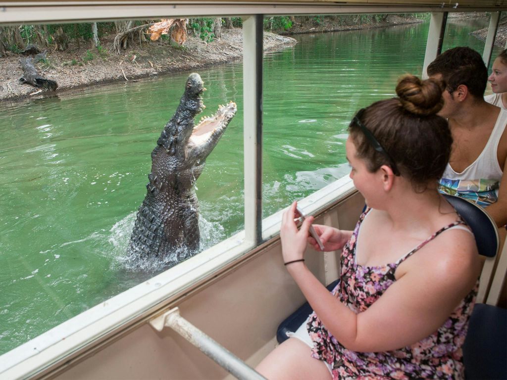 배 옆 물에서 턱이 열린 커다란 악어가 나타납니다. 휴대전화를 든 여성을 포함한 승객이 가까이서 지켜보고 있습니다.