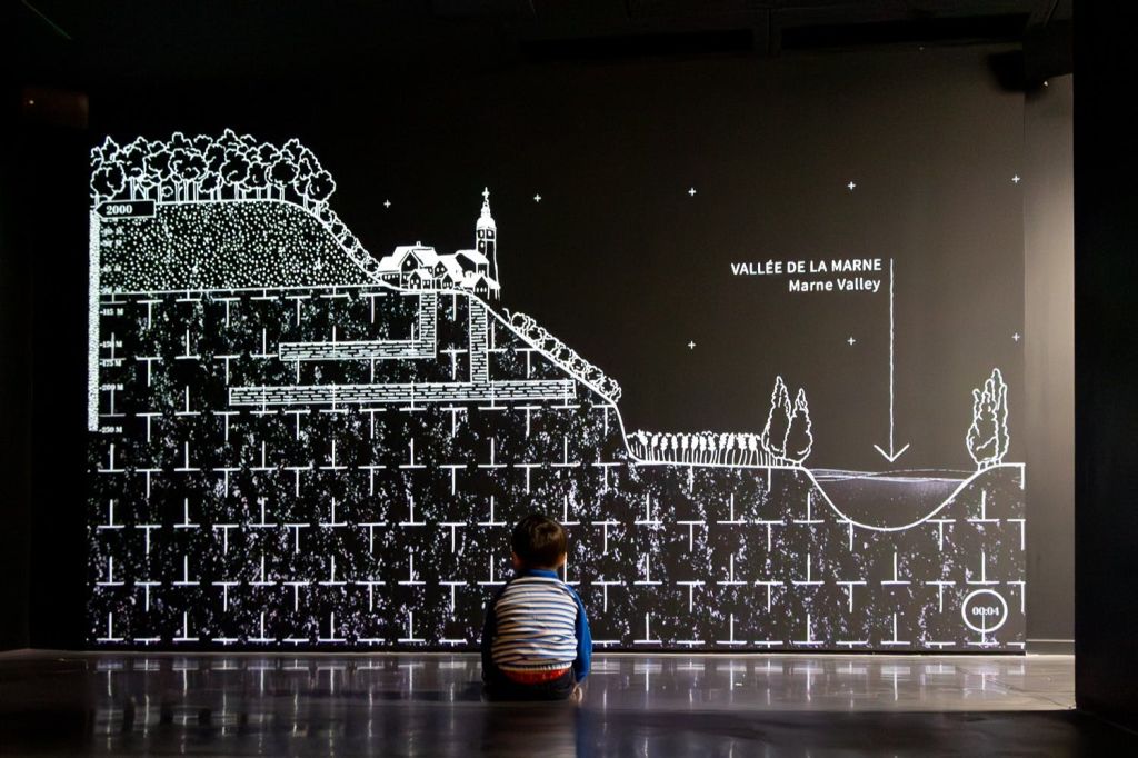 교훈적인 방식으로 즐기는 샴페인 체험