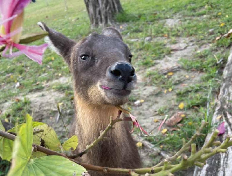 자연의 경이로움을 탐험할 수 있는 최고의 장소!