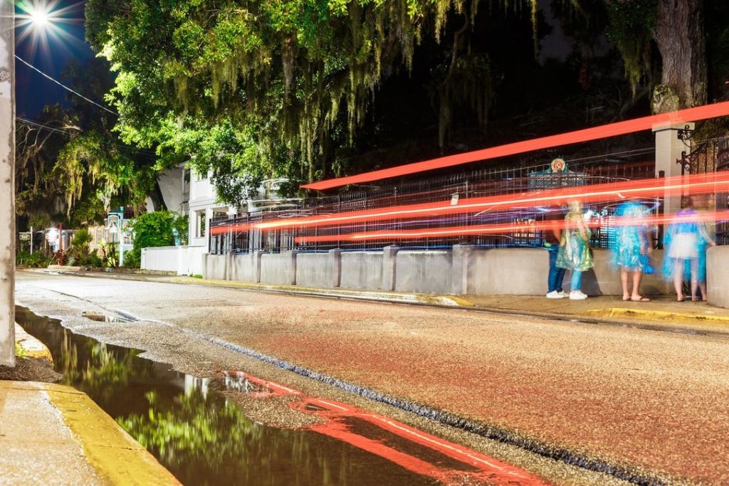 차량의 가벼운 산책로, 걷는 사람, 이끼를 배경으로 나무가 어우러진 야간 도심 거리 풍경.