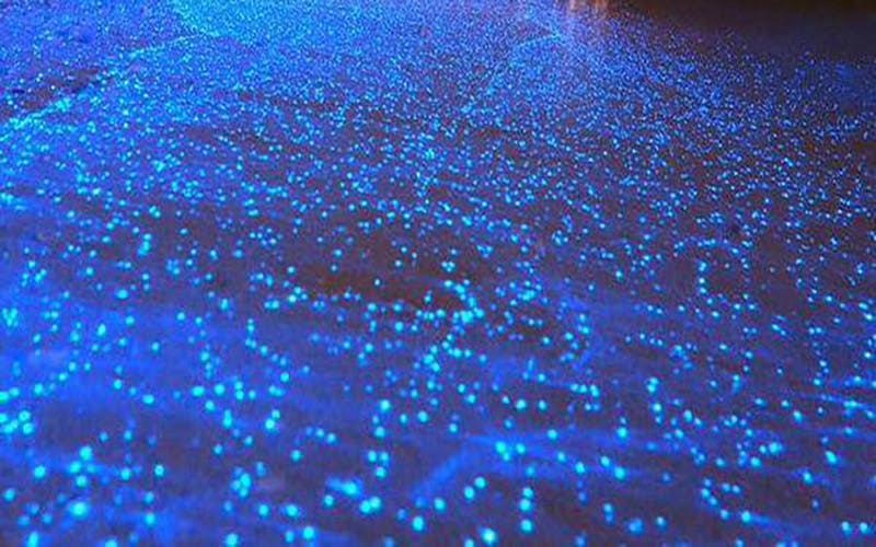 어두운 표면에 수많은 작은 푸른 빛이 흩어져 빛나고 별이 빛나는 효과를 만듭니다.