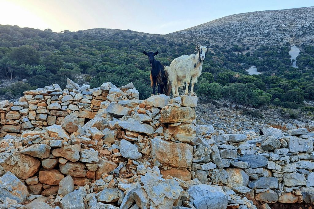 라시티 고원으로 가는 길