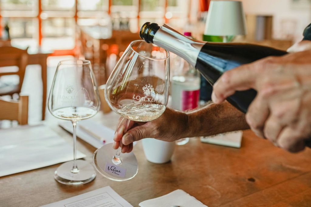 스파클링 와인 테이스팅