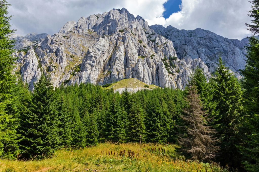 부분적으로 흐린 하늘 아래 푸른 침엽수림이 있는 바위산.