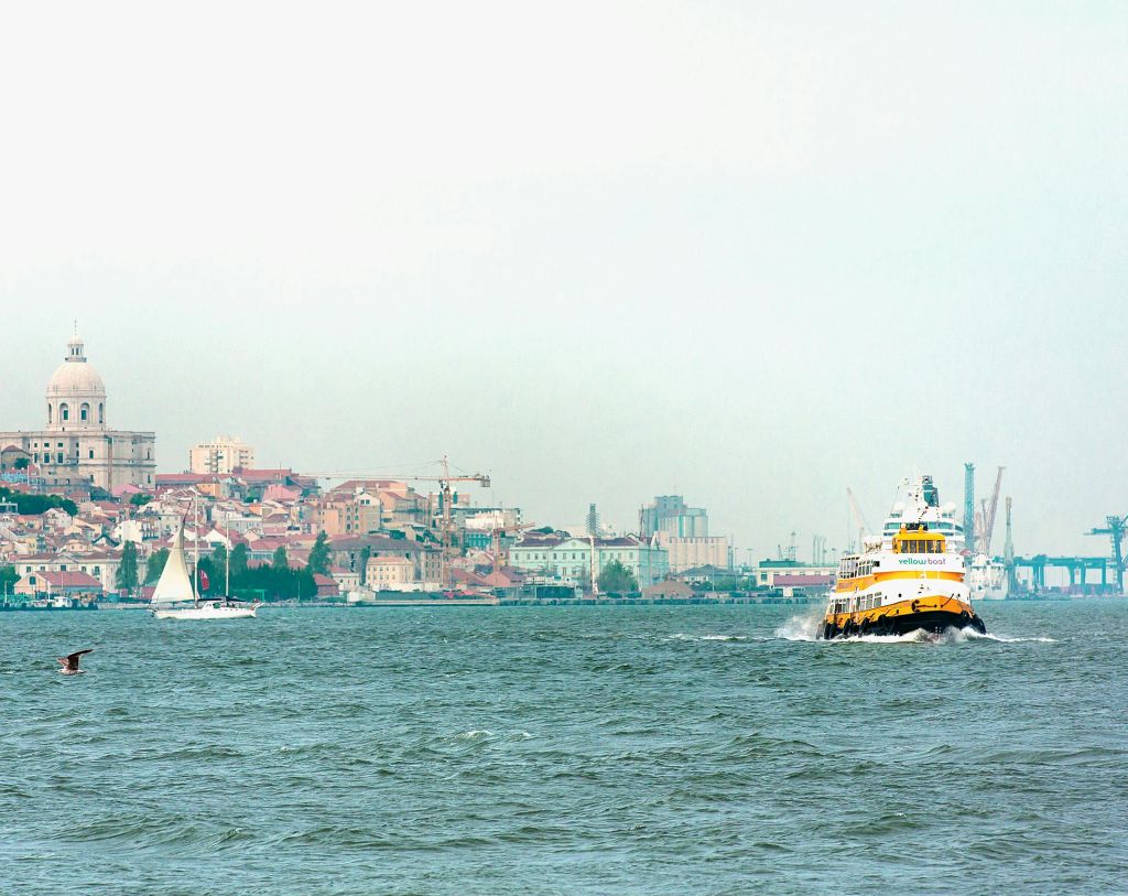 알파마와 판테온