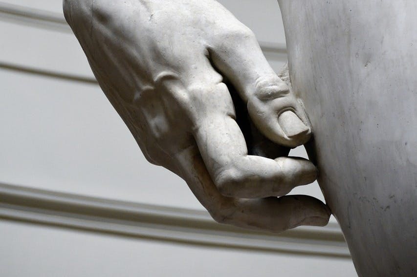 데이비드 세부 정보