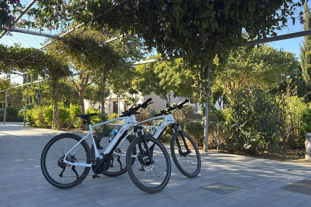 야마하 전동 자전거를 타고 발렌시아를 둘러보세요. 이 자전거는 120km의 높은 자율성으로 장거리 여행에 이상적입니다.