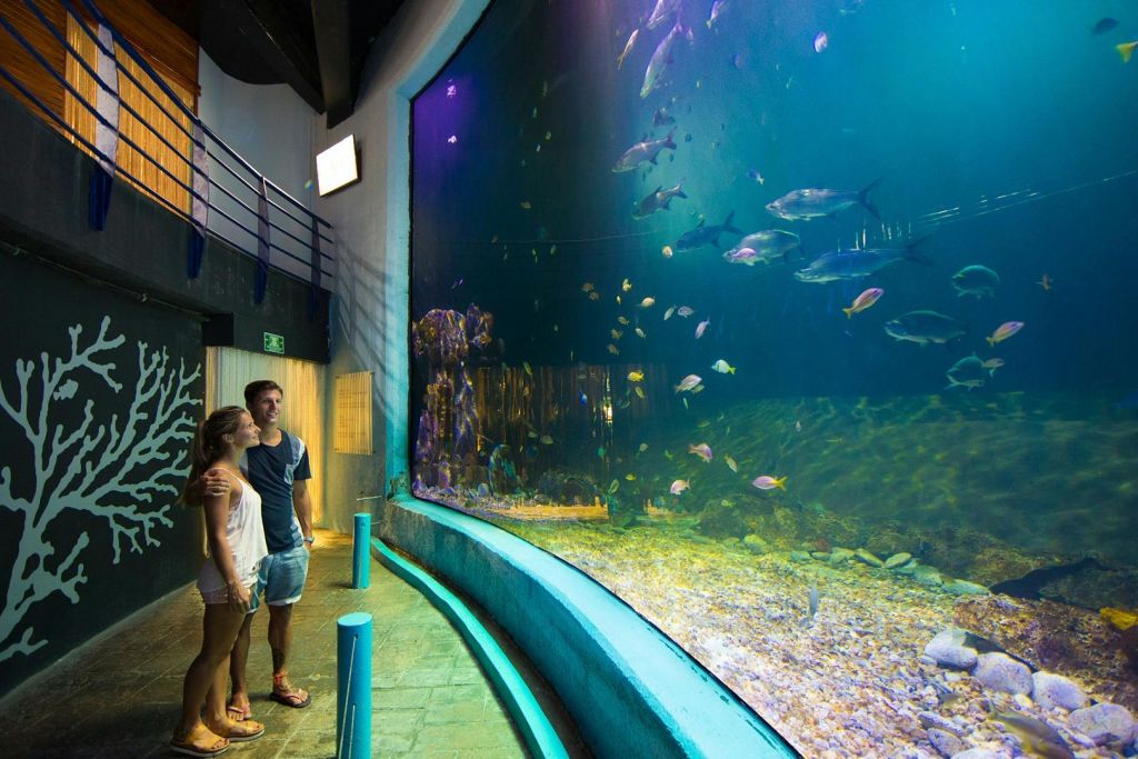 칸쿤 인터랙티브 아쿠아리움 트레킹