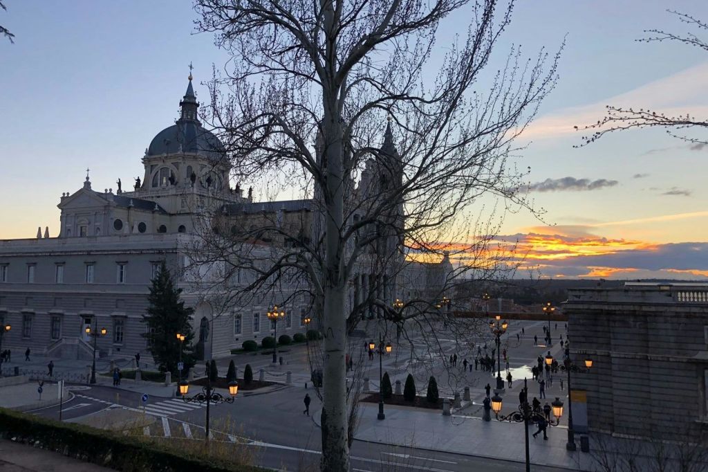 석양이 질 무렵 유서 깊은 건물 앞에 있는 나무로, 사람들이 광장을 거닐고 가로등이 켜져 있습니다.